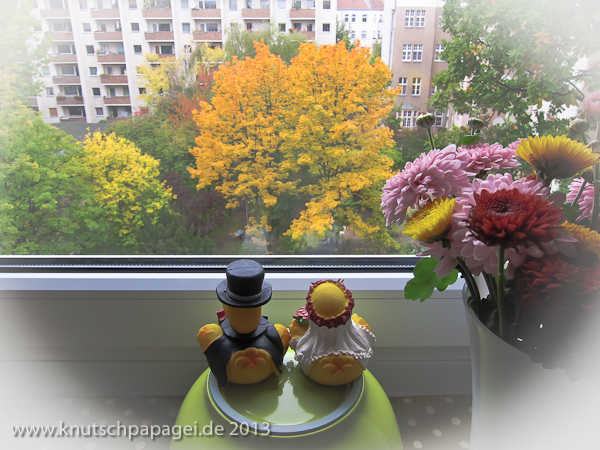 Die Hochzeitsentchen betrachten verzückt aus dem Küchenfenster ihrer Wohnung den Herbst in Berlin