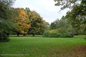 Fotografien eines Herbstspaziergangs durch den Großen Tiergarten am 21.10.2015